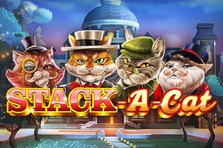 Stack-a-Cat